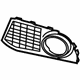 BMW 51117906197 Grille, Air Inlet, Left