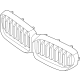 BMW 51129852168 Grill Front BMW 51129852168 Grill Front