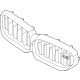 BMW 51138080591 Grill Front