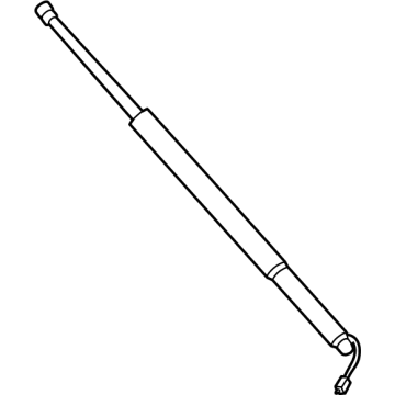 2025 BMW X2 Lift Support - 51245A2FBE5