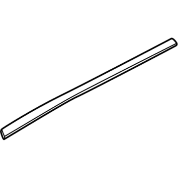 2025 BMW X3 Door Moldings - 51355A31BD4