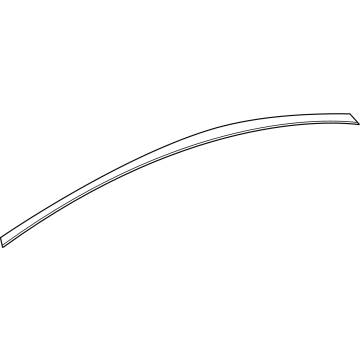 BMW i5 Door Moldings - 51355A1A2C5