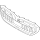 BMW 51135A185A5 Front Ornamental Grille