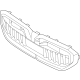 BMW 51135A16946 Front Ornamental Grille