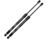 BMW 228i xDrive Hood Lift Support