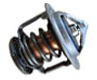 BMW 323i Thermostat